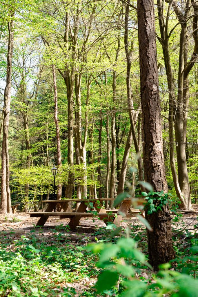 Gedekte tafel in het bos tijdens de keramiekretraite van Moddr op de Veluwe